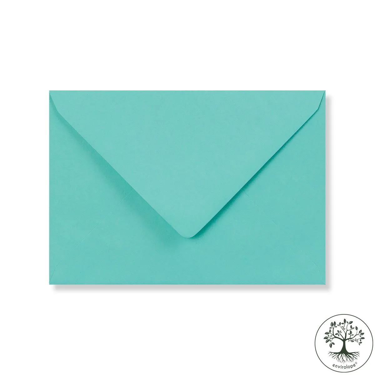 Robin Egg Blue Envelopes by Clariana