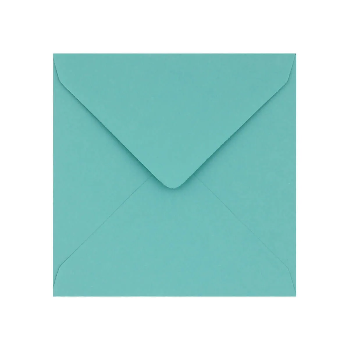 Robin Egg Blue Envelopes by Clariana