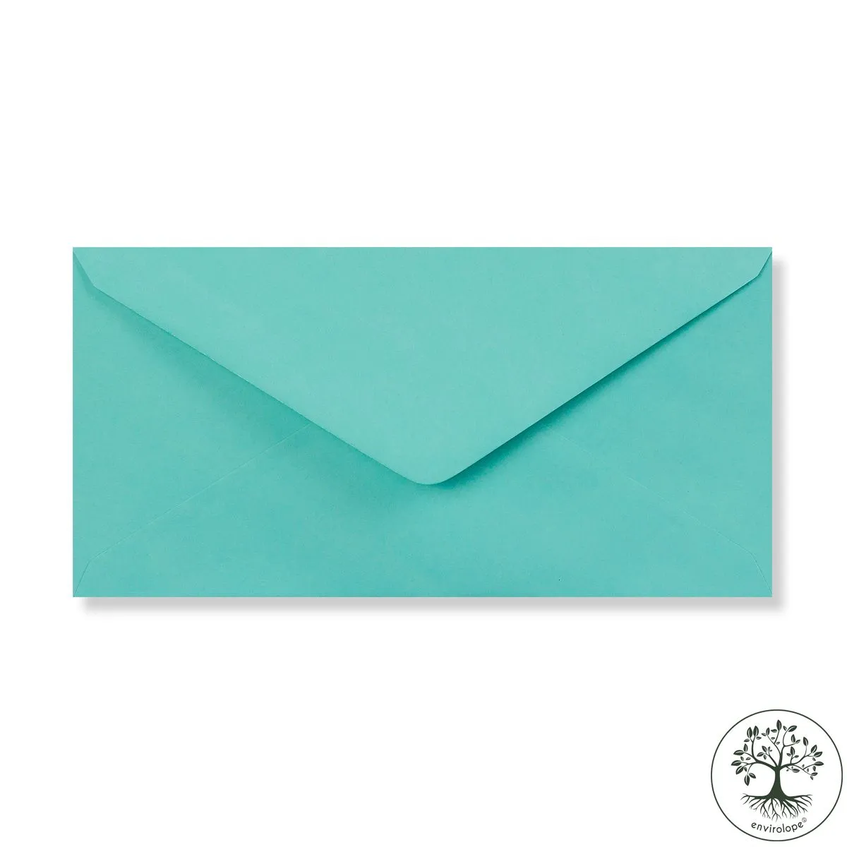 Robin Egg Blue Envelopes by Clariana